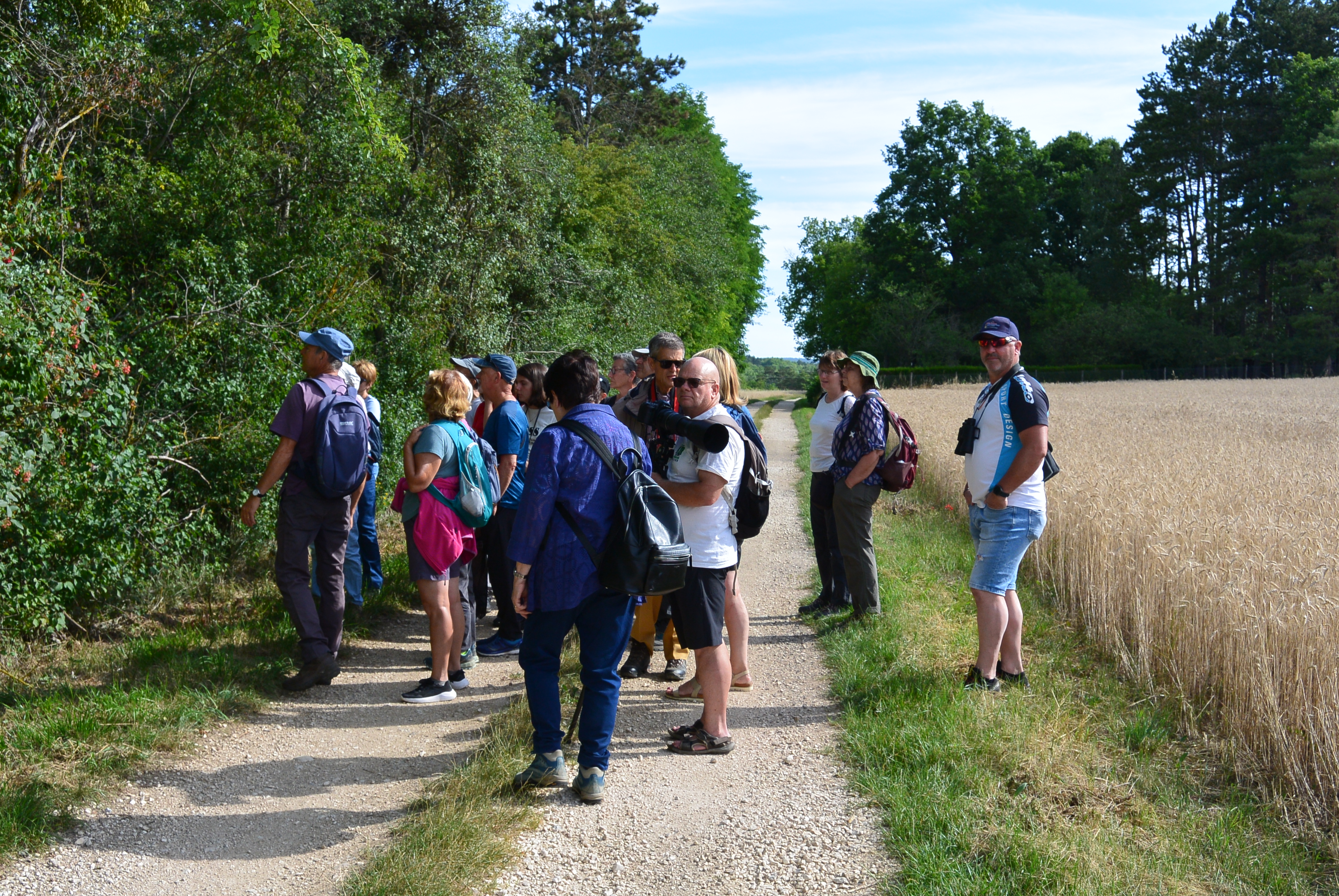 sortie_nature_oiseaux_biodiversité_balade