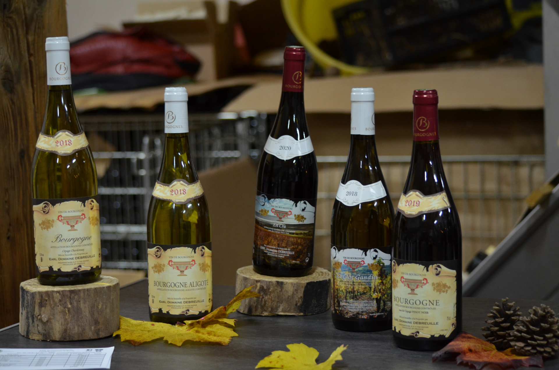 Dégustation des vins du domaine