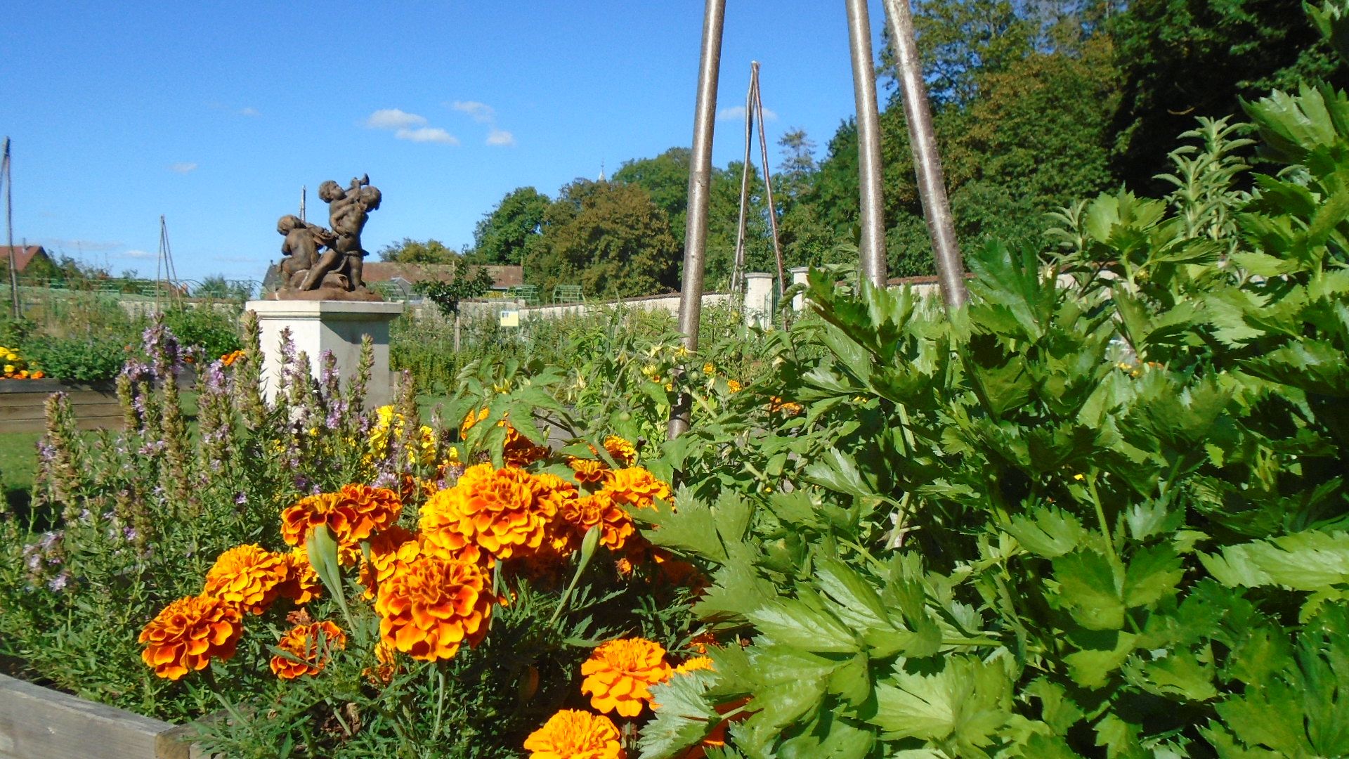Jardin 2 des enfants