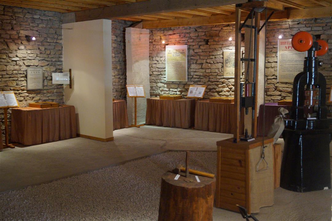 Château-musée Le Trésor des Séquanes