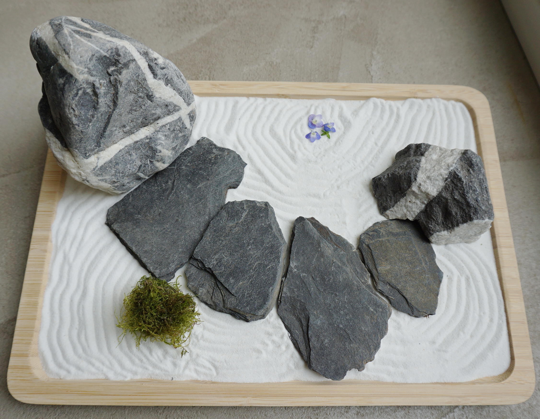 Rendez vous au Jardin : Tanabata, jardin japonais