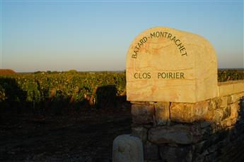 Le Clos Poirier : géohistoire d'un clos au cœur du Bâtard-Montrachet