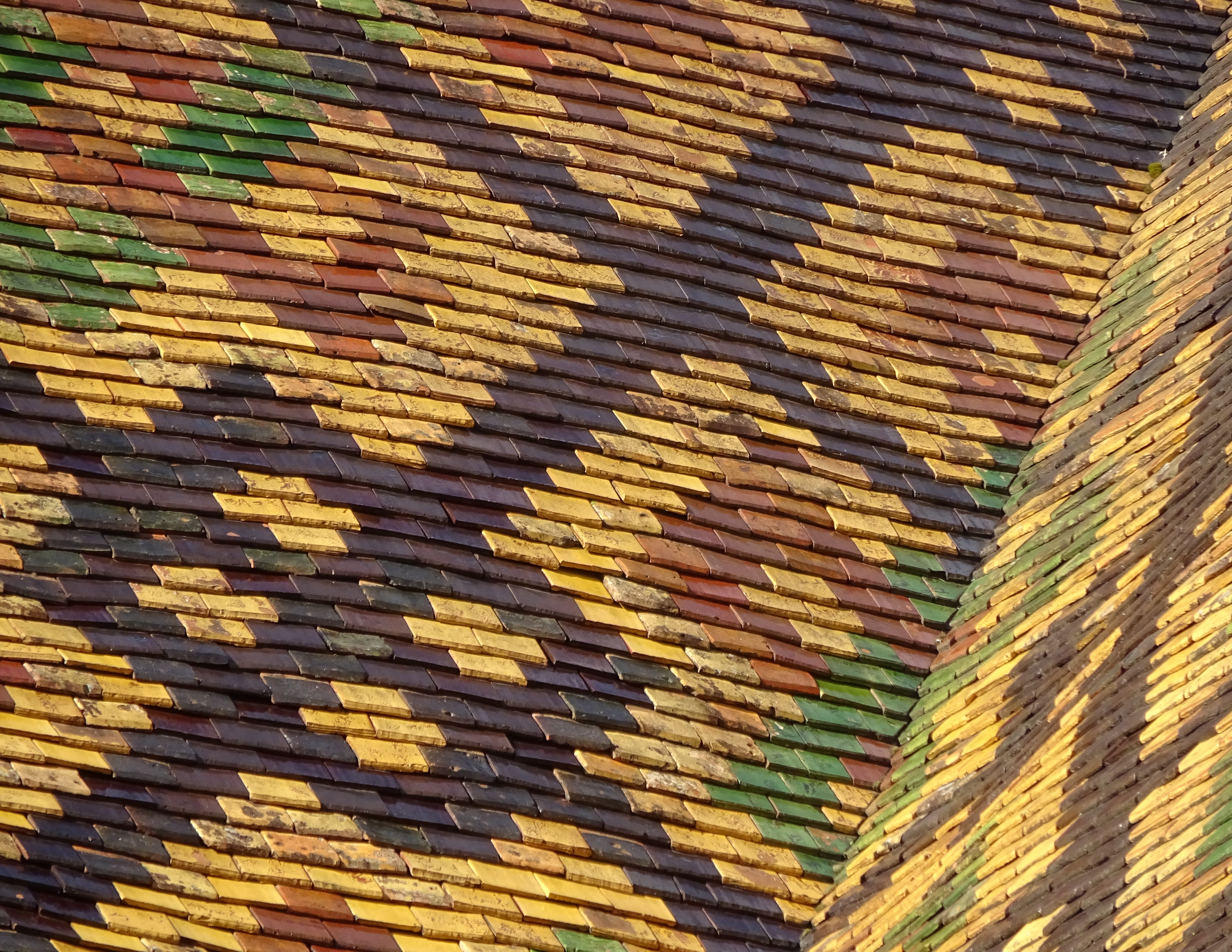 Voguë motif