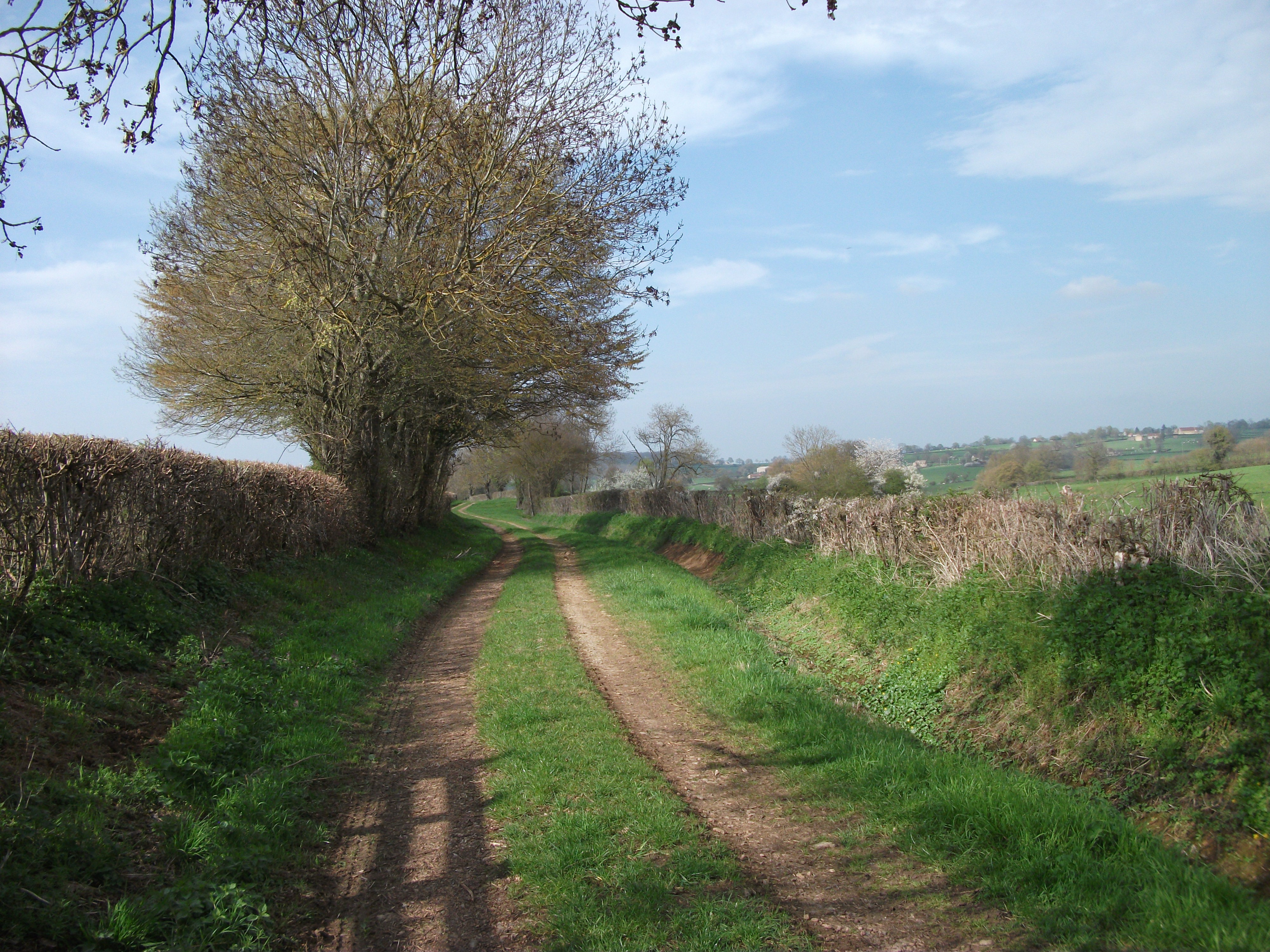 marche des verts pâturages