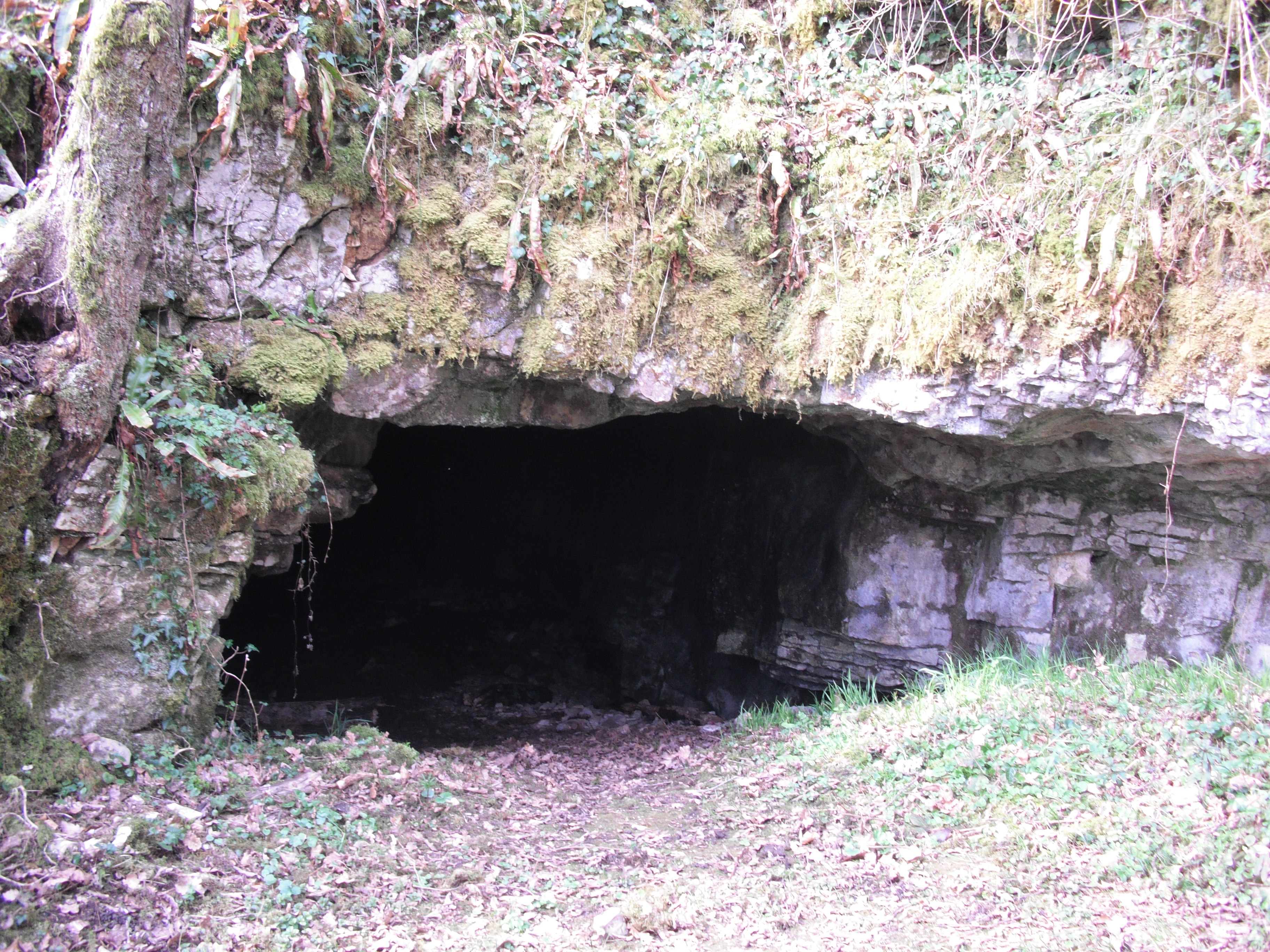 Grotte de Beaumotte