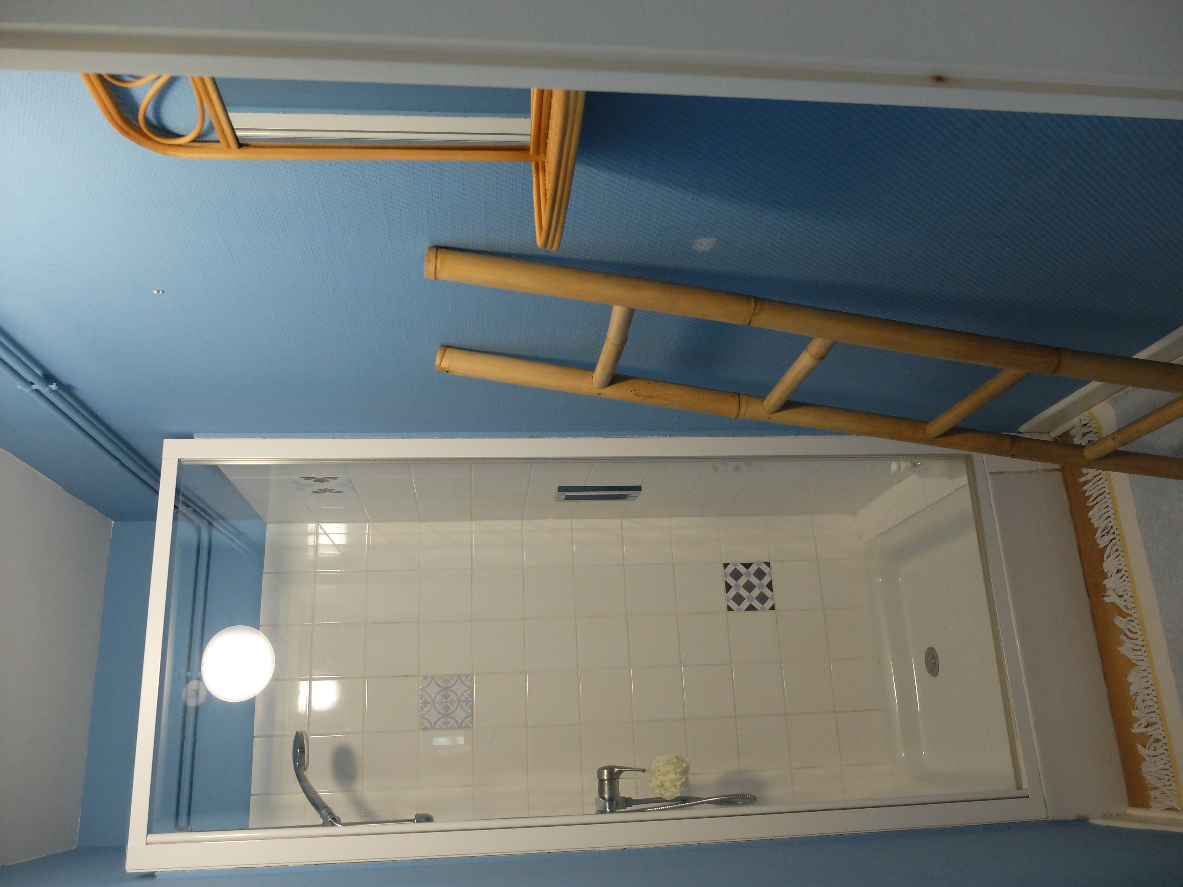 Auberge de poil - photo 4