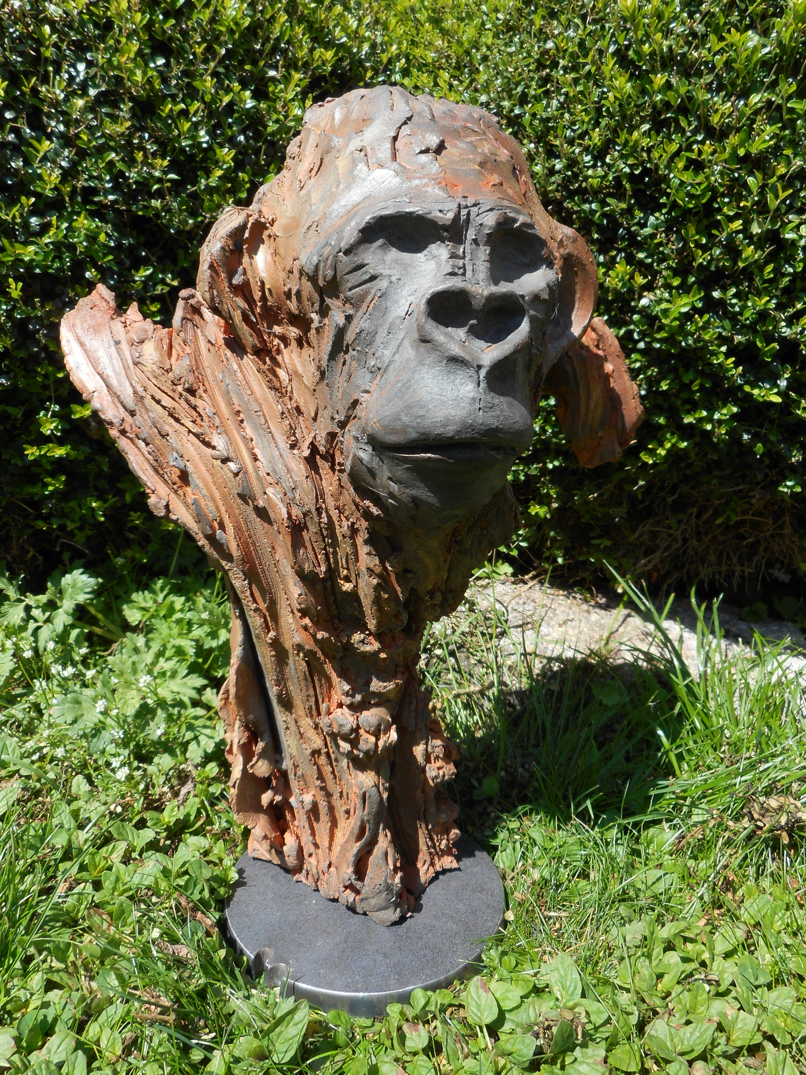 Singe Terre patinée