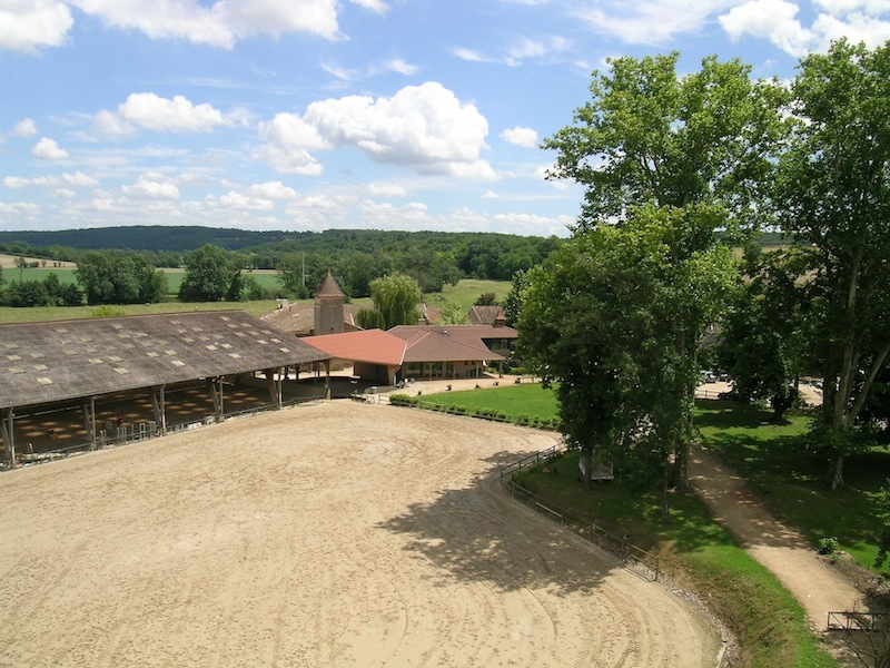 Le poney-club 