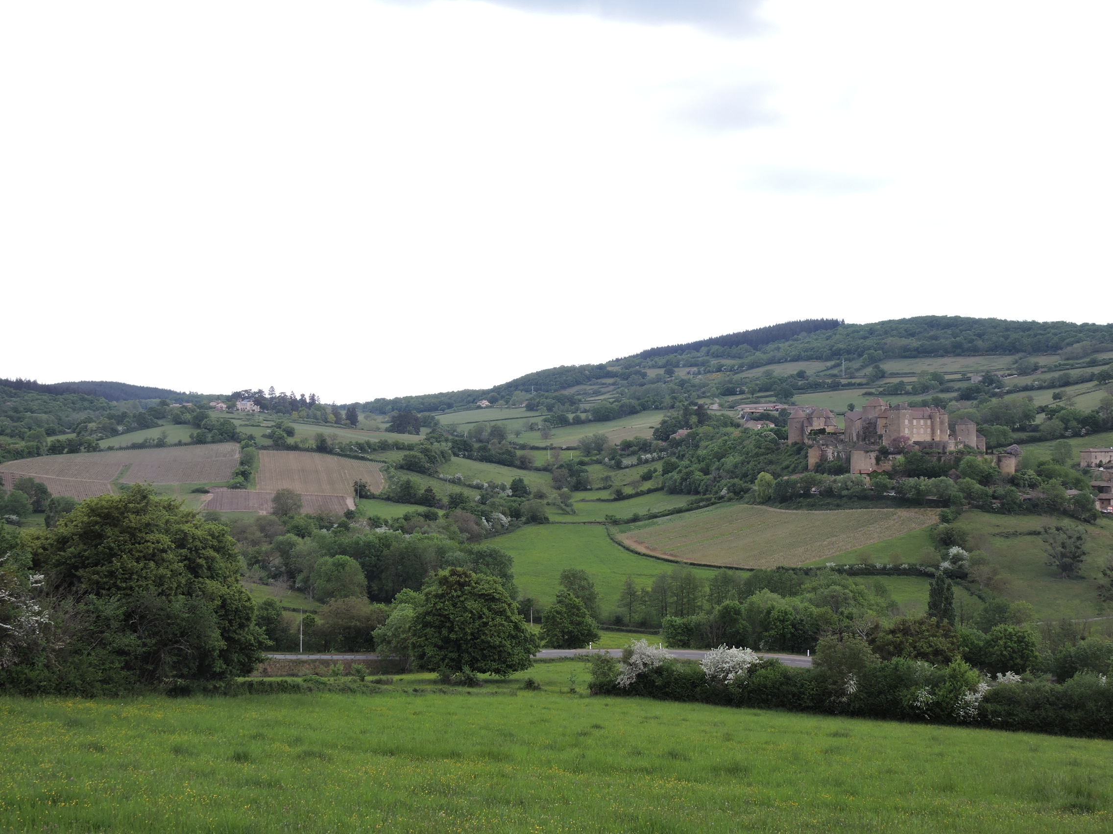 vue sur Berzé le Chatel