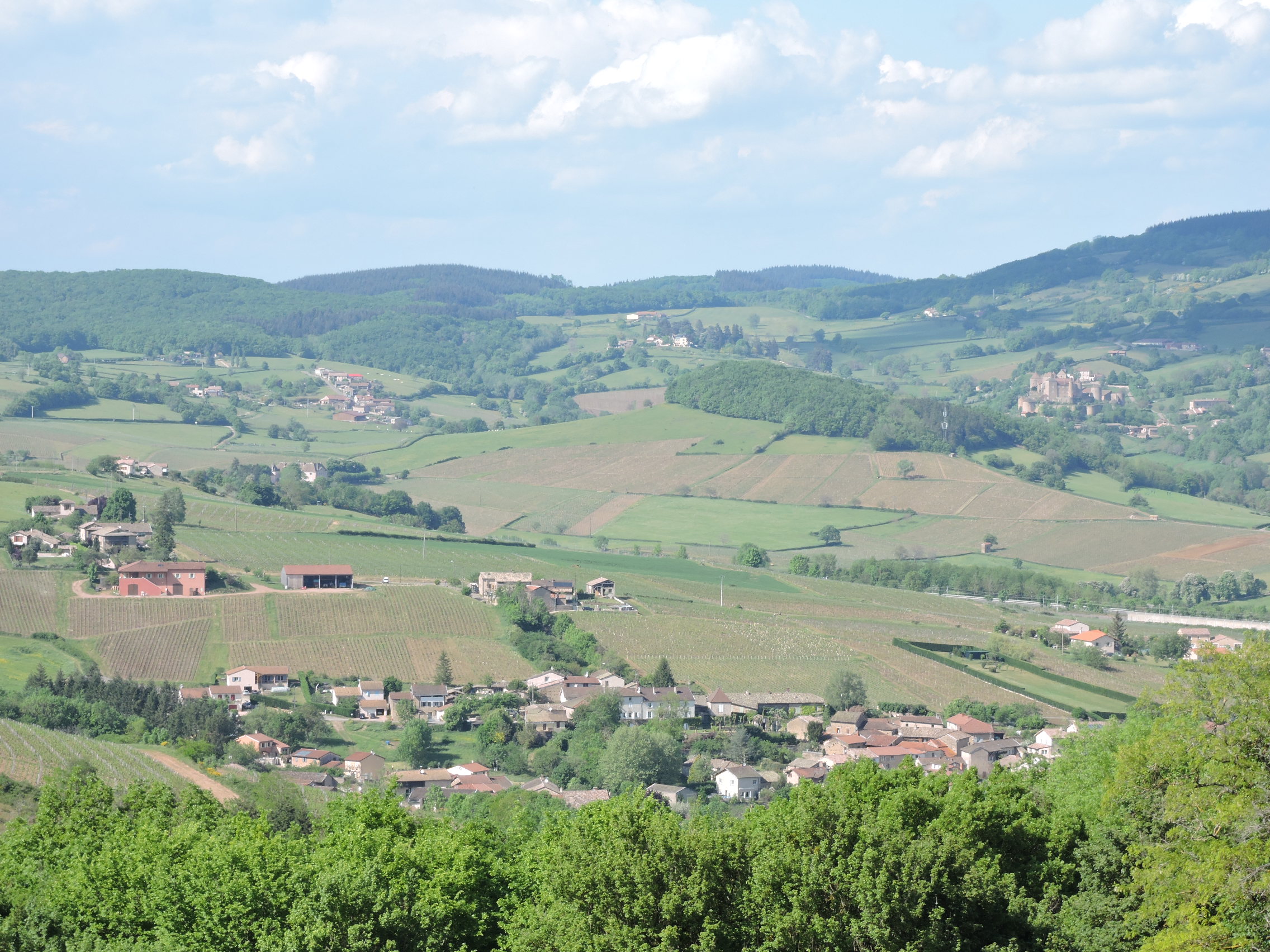 Vue sur Sologny