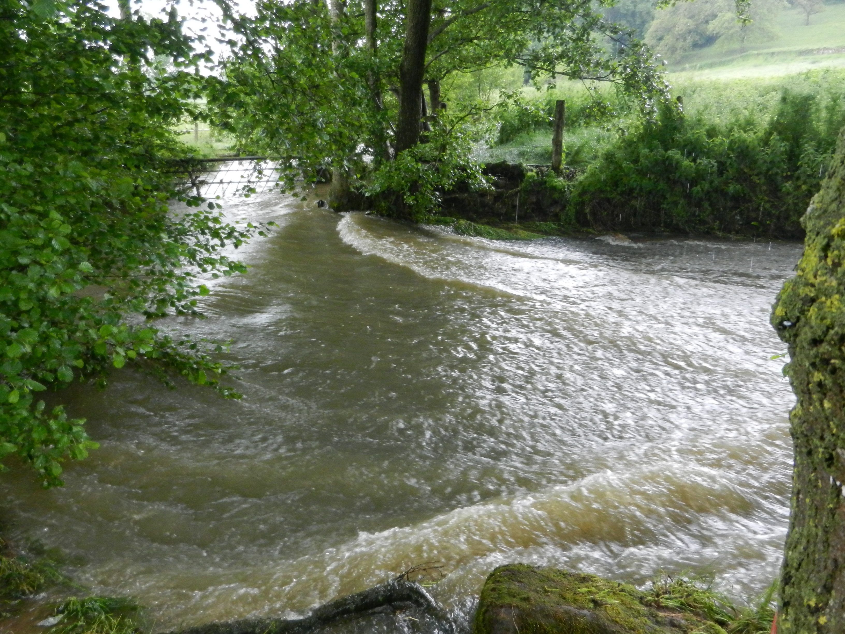 le lavoir