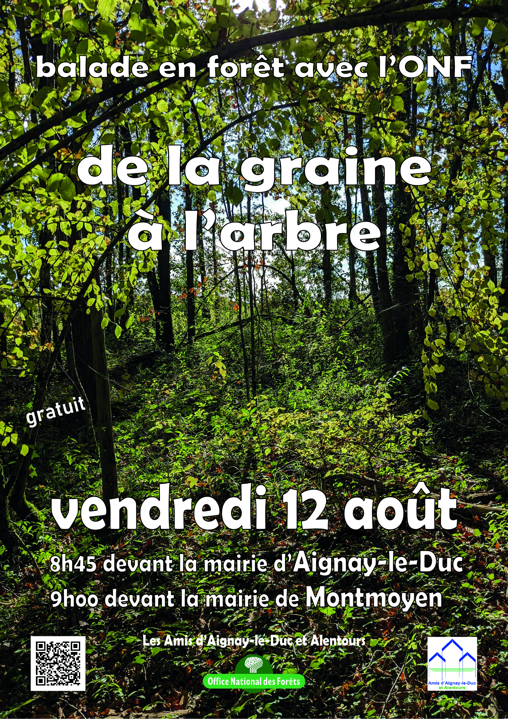 Balade De la graine à larbre
