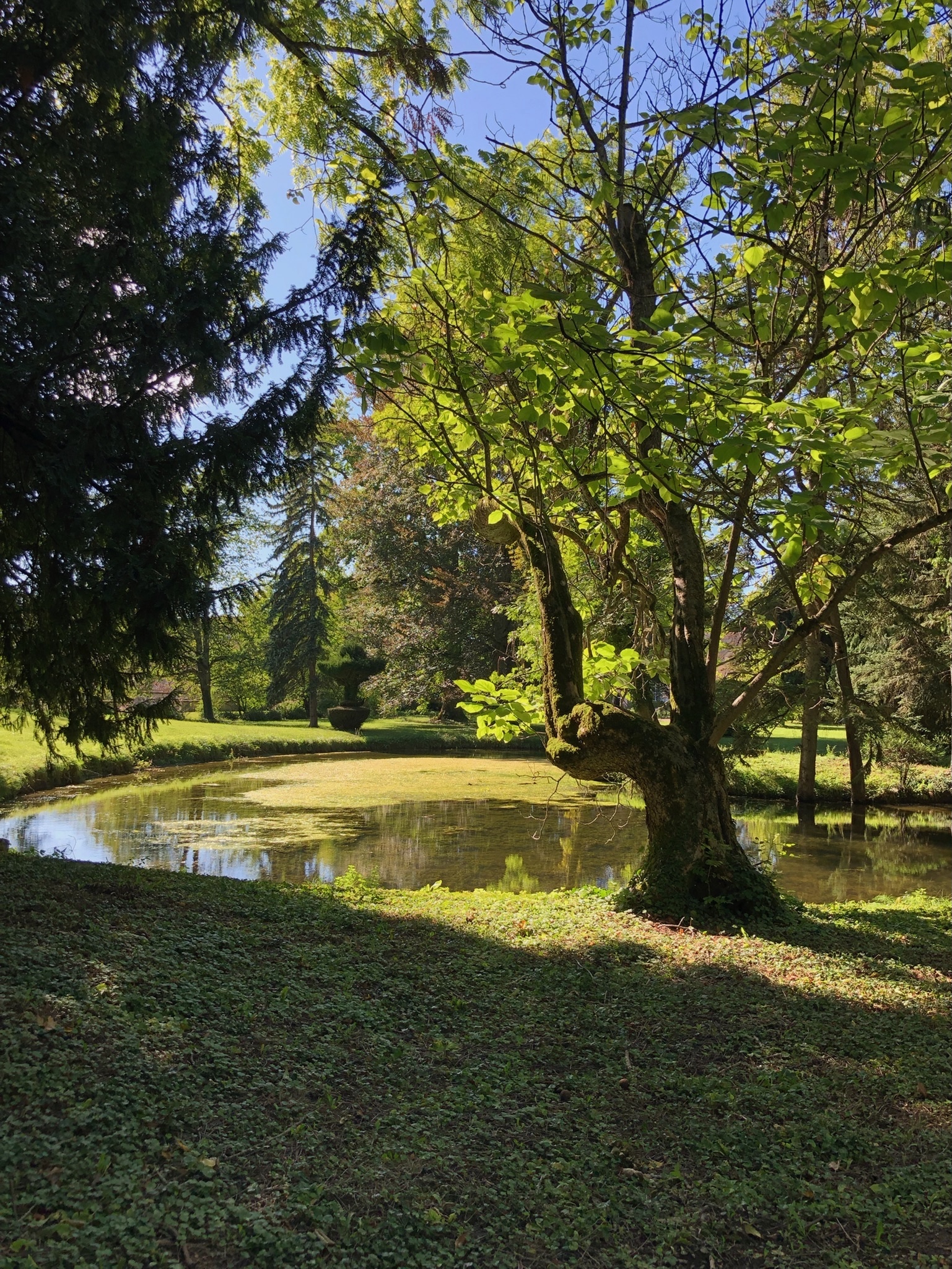 Parc du Château de Combertault
