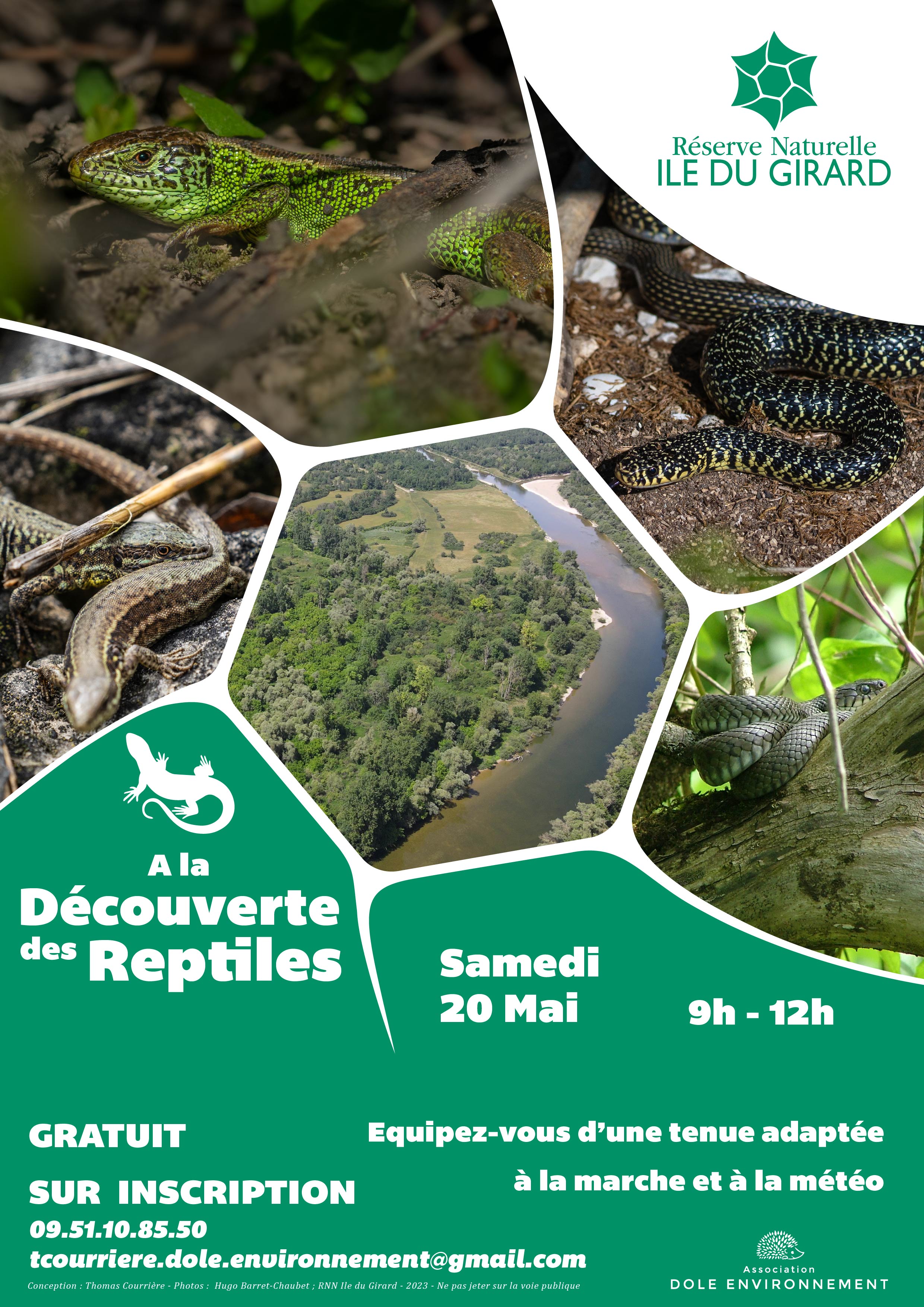Affiche découverte des reptiles
