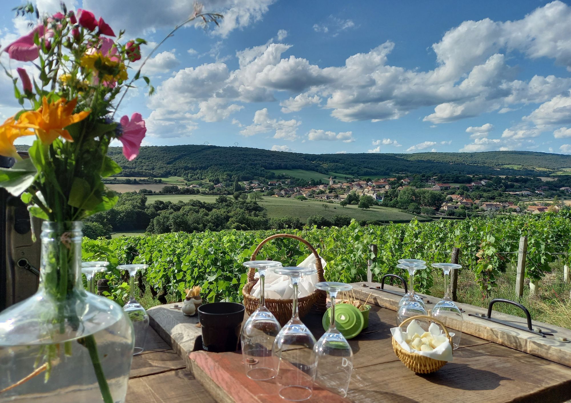 Dégustation au coeur des vignes 