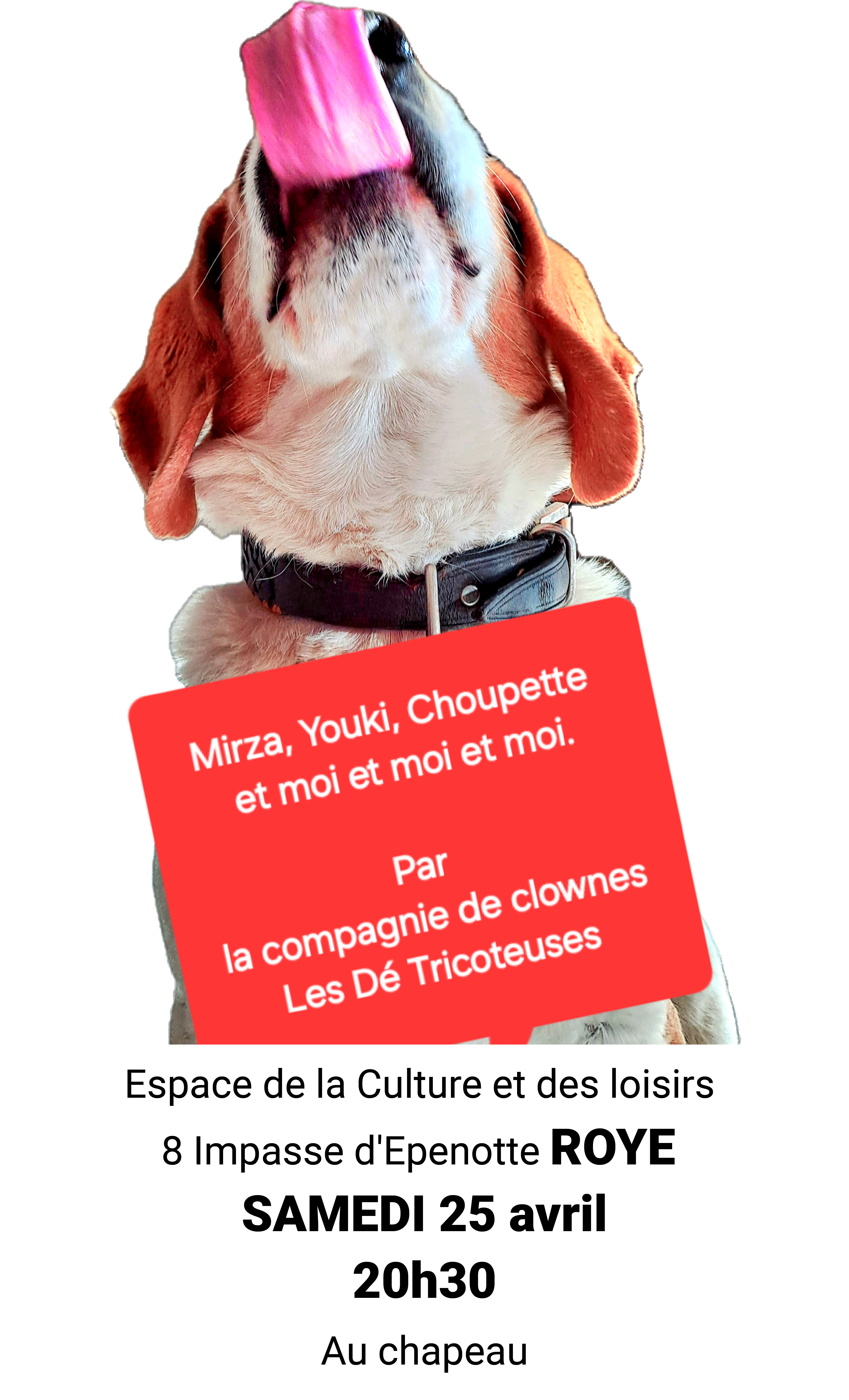 Spectacle « Mirza, Youki, Choupette et moi et moi et moi »