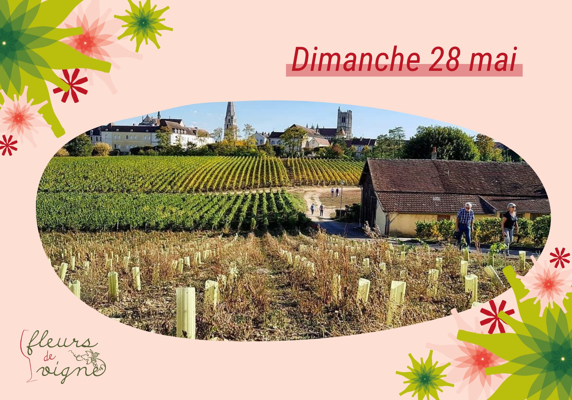 Clos de la Chainette