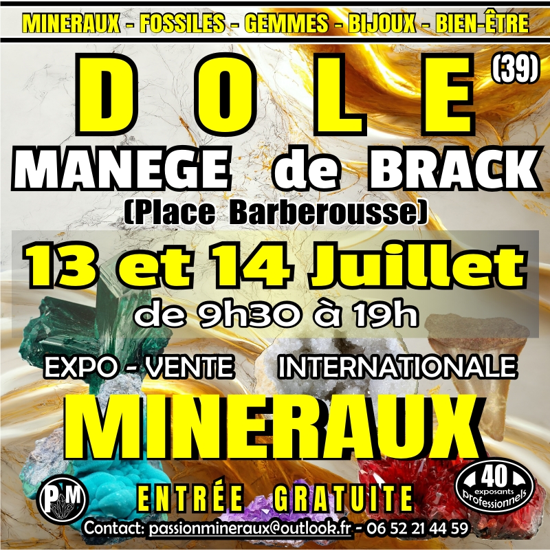 Dole 2024 (2)
