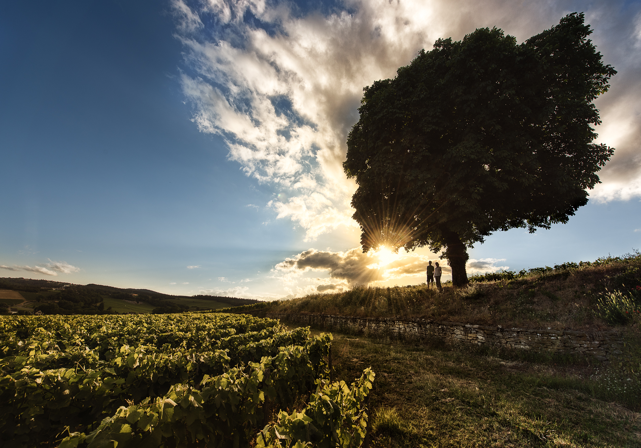 Média additionnel 1
