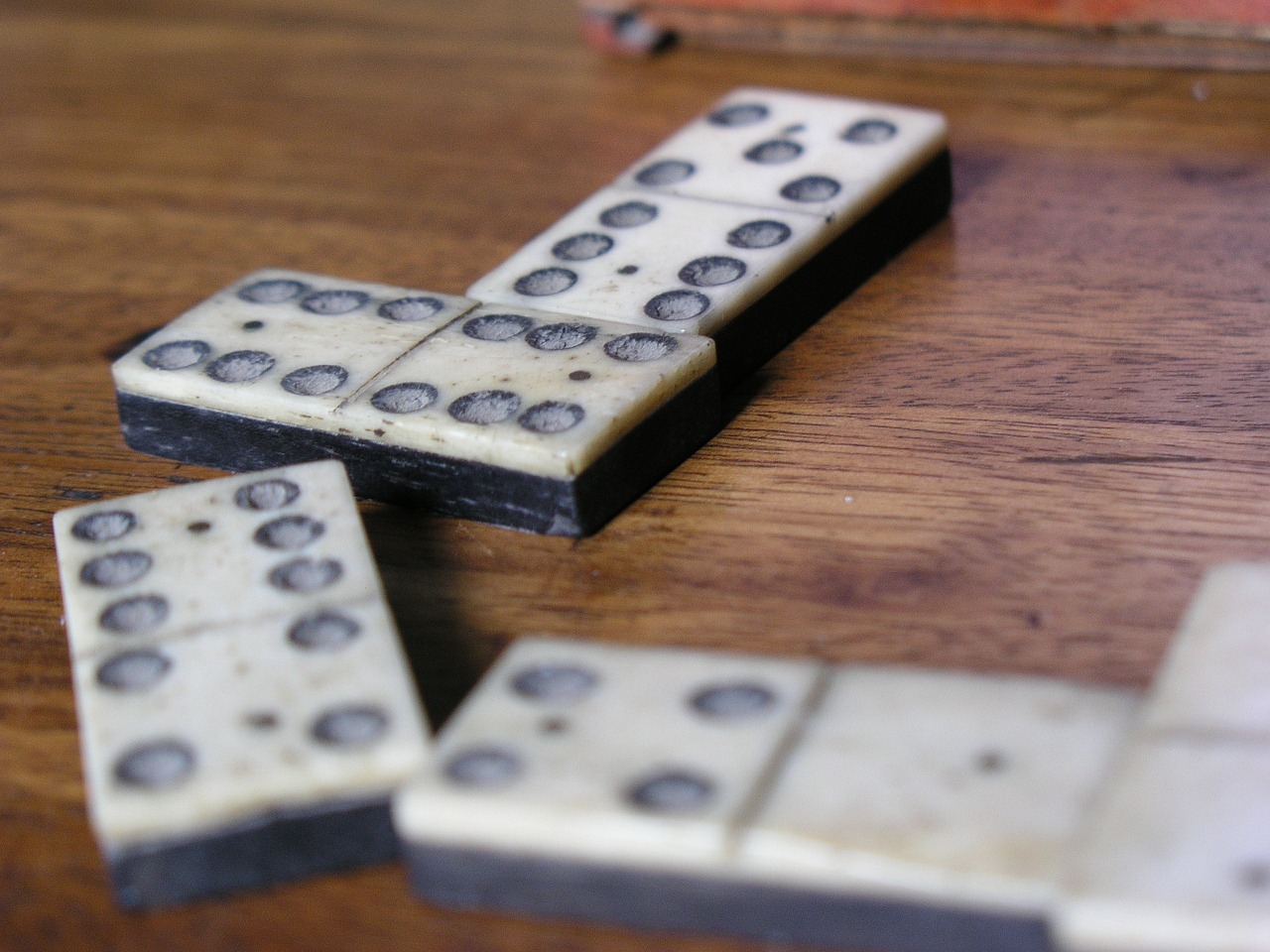 Domino 