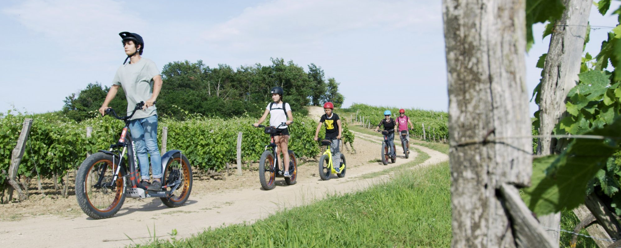 E-TROTT LE LONG DES VIGNES