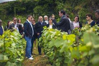 Journée découverte des vins de Bourgogne