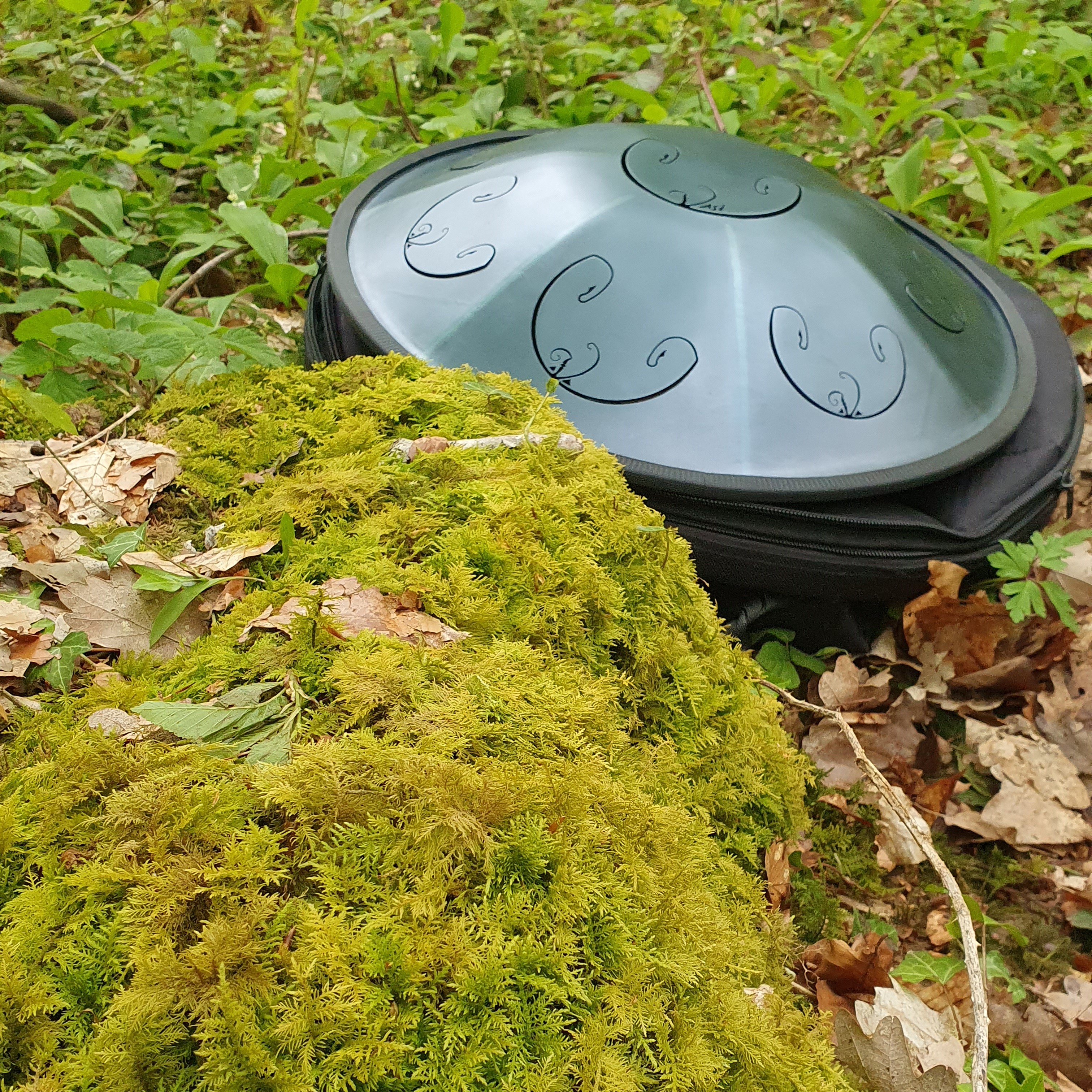 RavVast en forêt