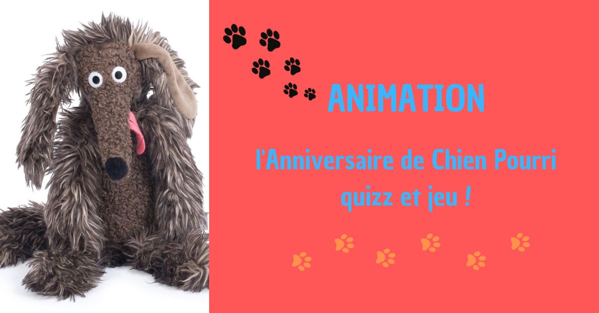 Animation Chien Pourri