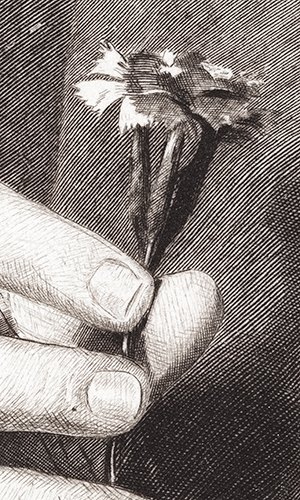 EXPO GAILLARD_4_homme_oeillet