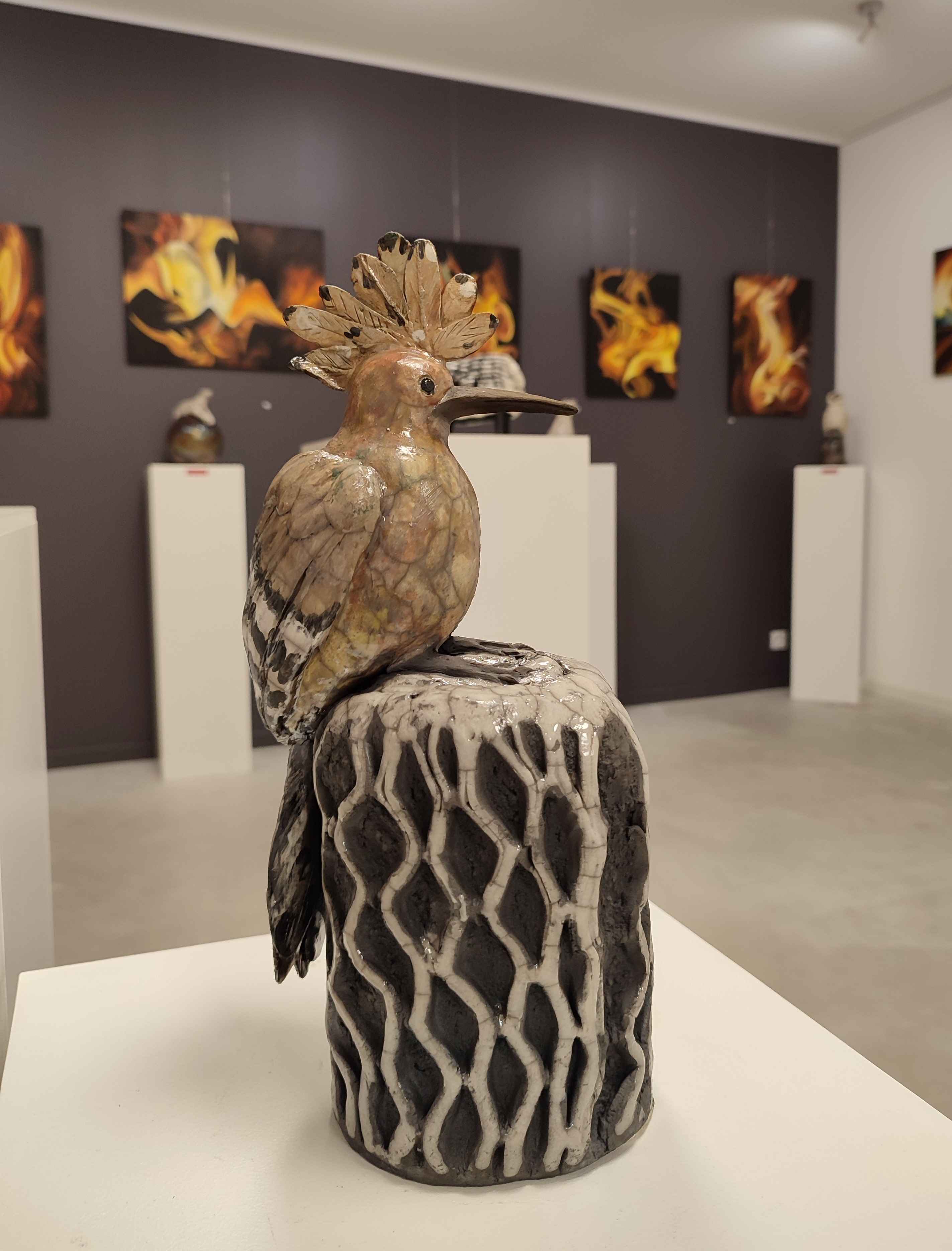 EXPO JOAS MICHELI 10