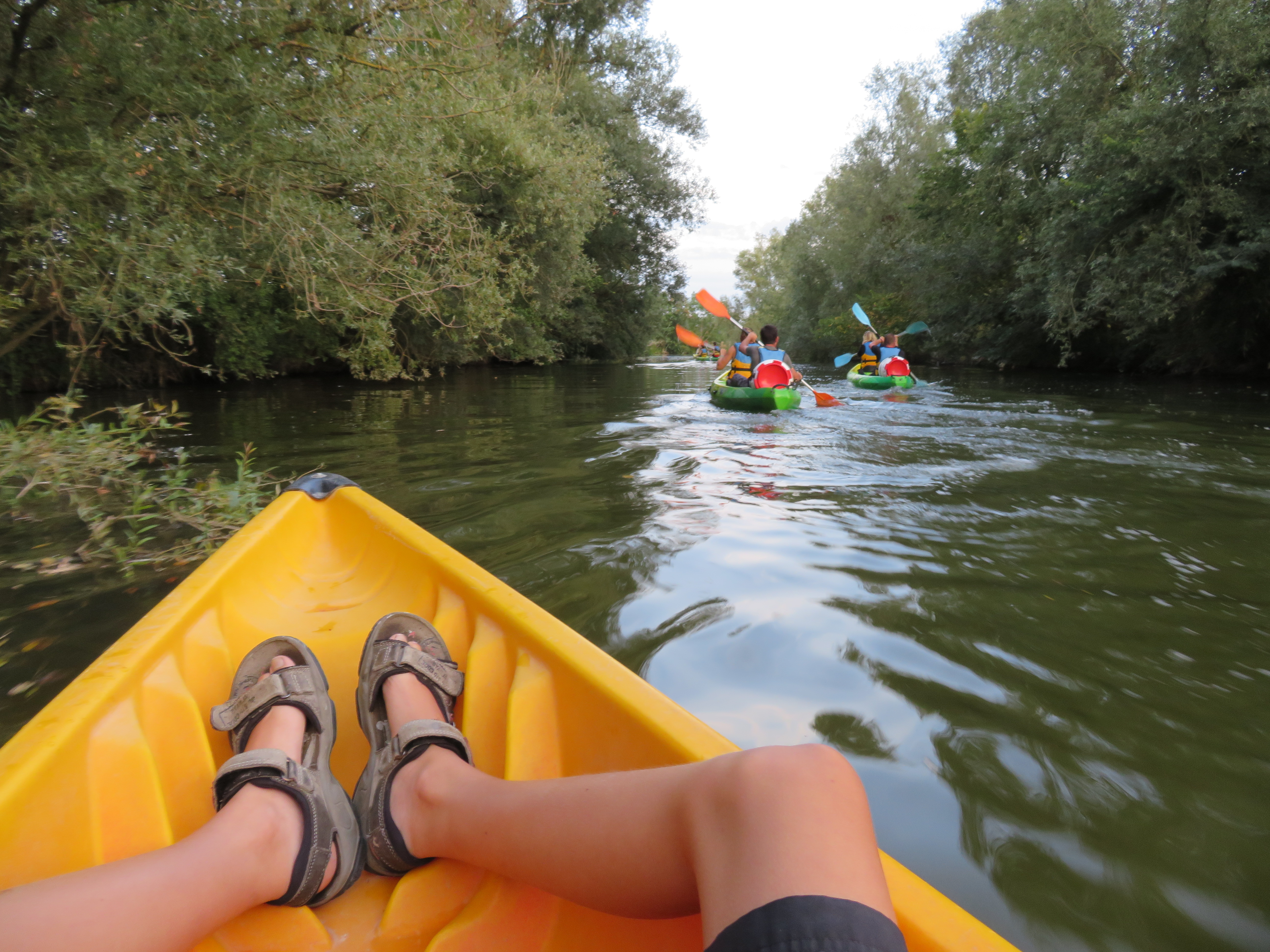Pagaies des Bords de Saône