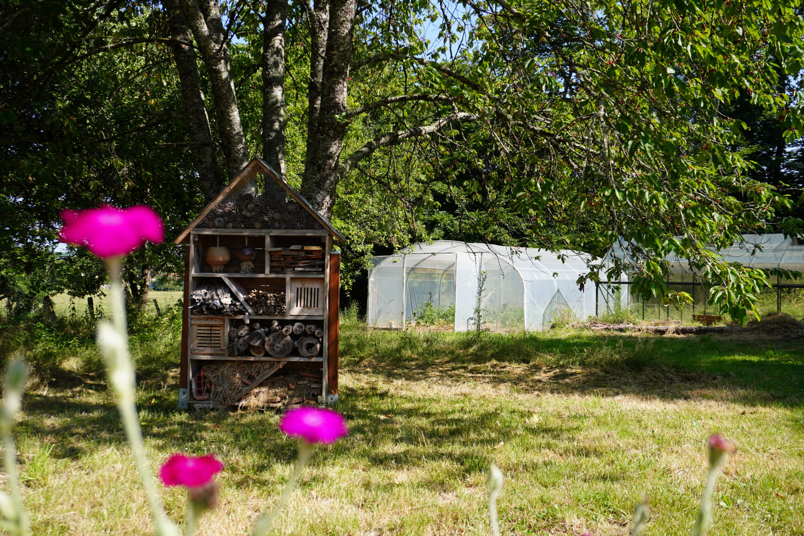 Ecoparc Tamnay 05