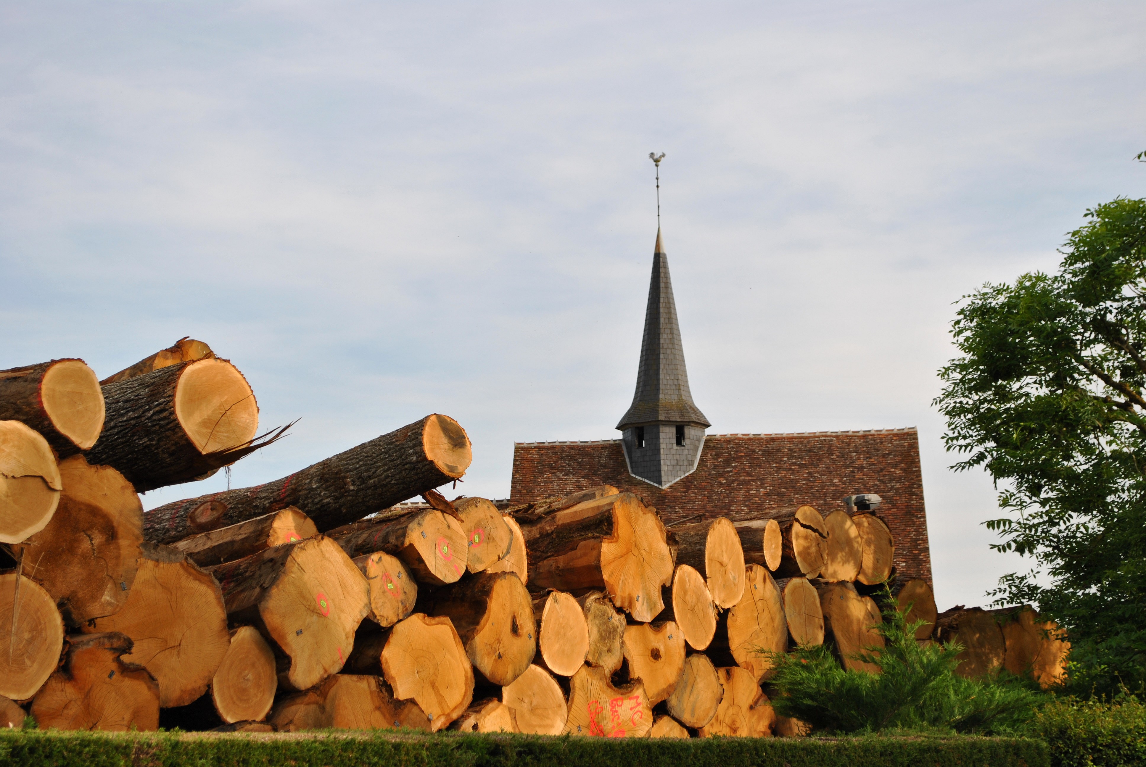 Bois et tonneaux
