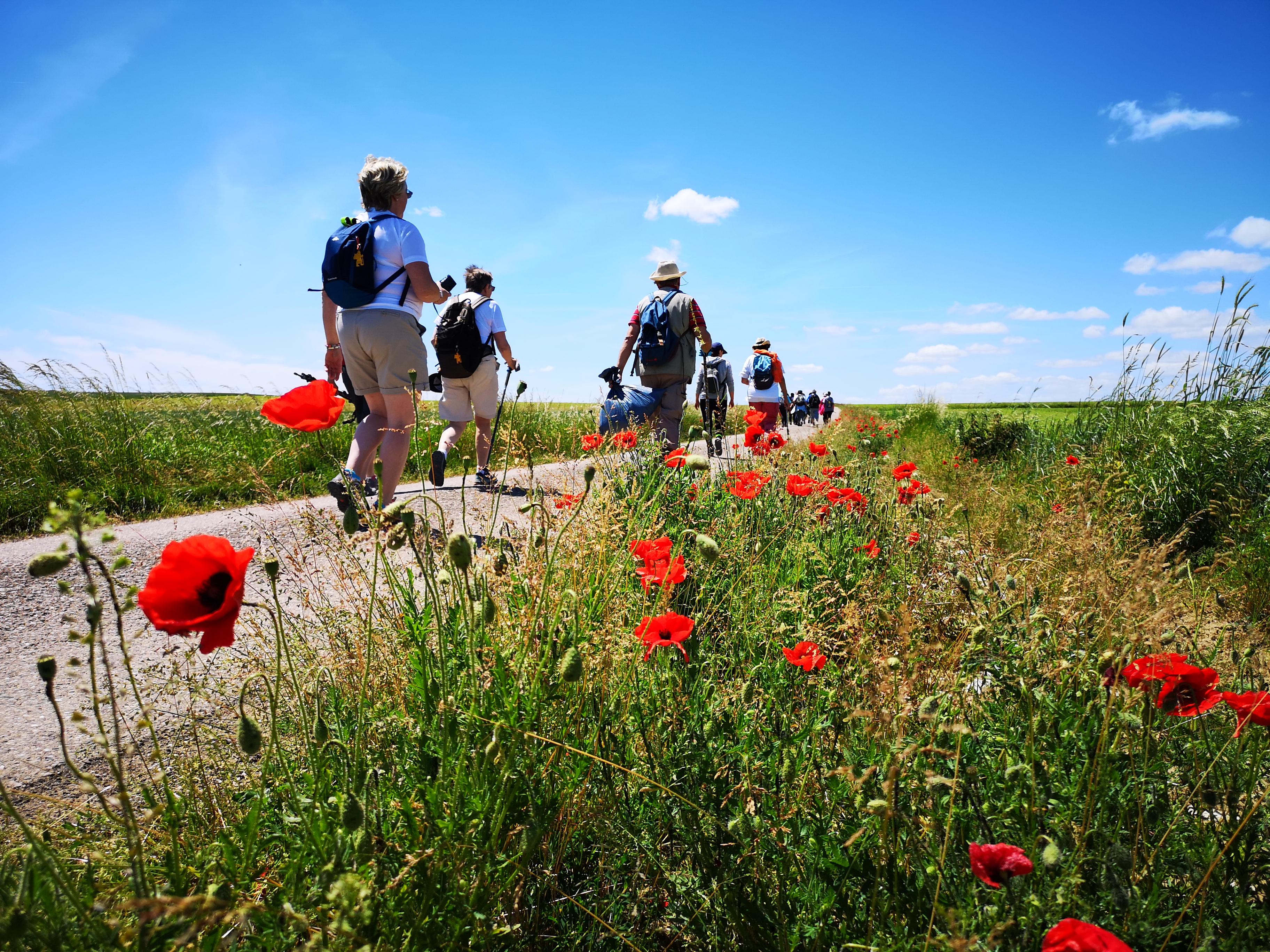 Via Francigena Canterbury-Rome en Haute-Saône