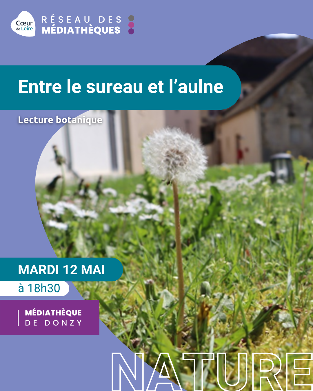 Entre le sureau et l'aulne