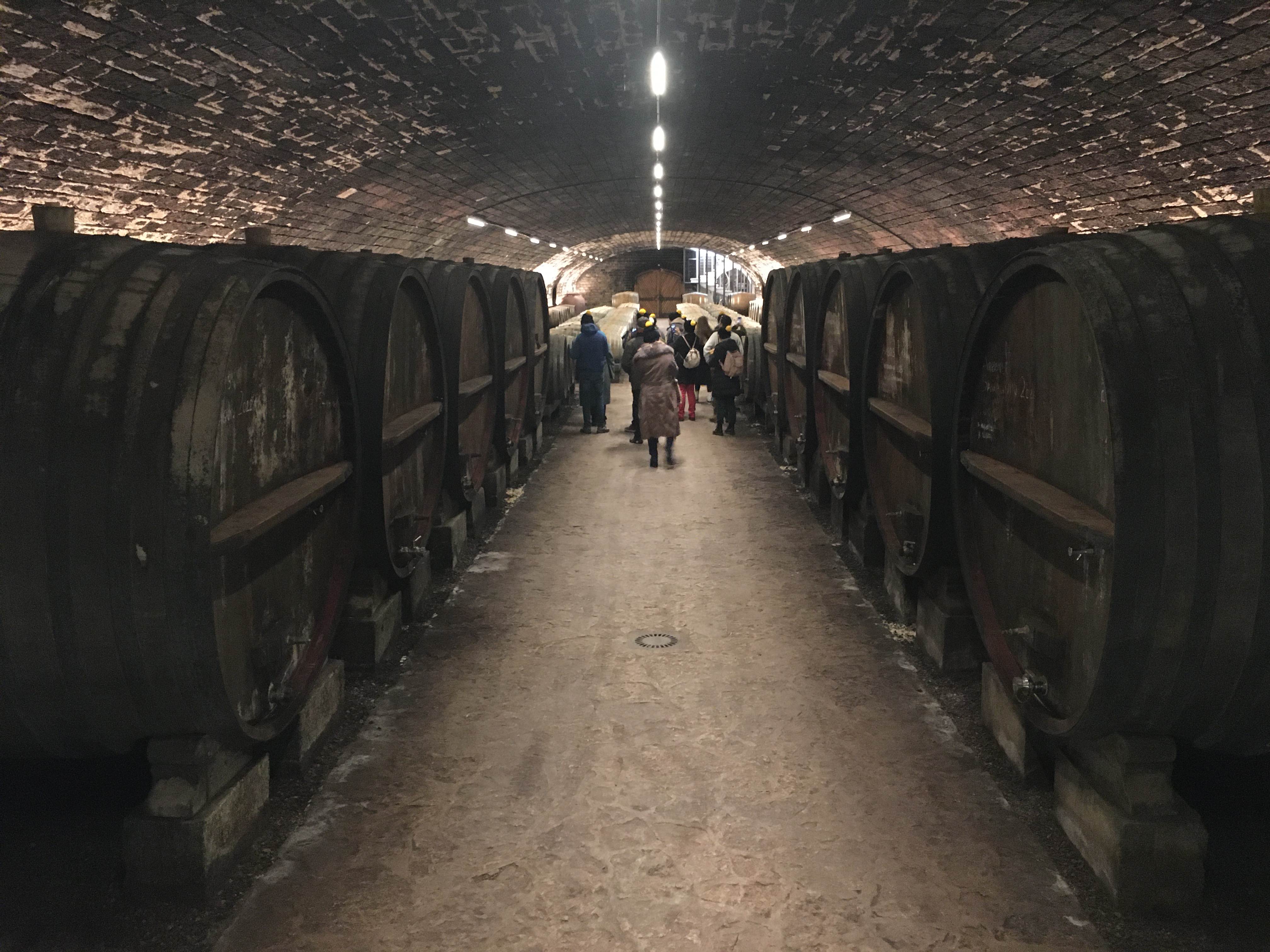 Escapade Jura avec Vélovitamine, dégustation et découverte du terroir, ses vins naturels et son Vin Jaune  (15)