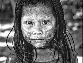 Exposition Temporaire "Un rêve de l'Humanité"