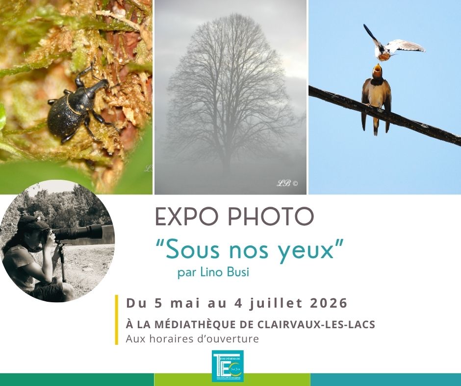 Expo photo "sous nos yeux"