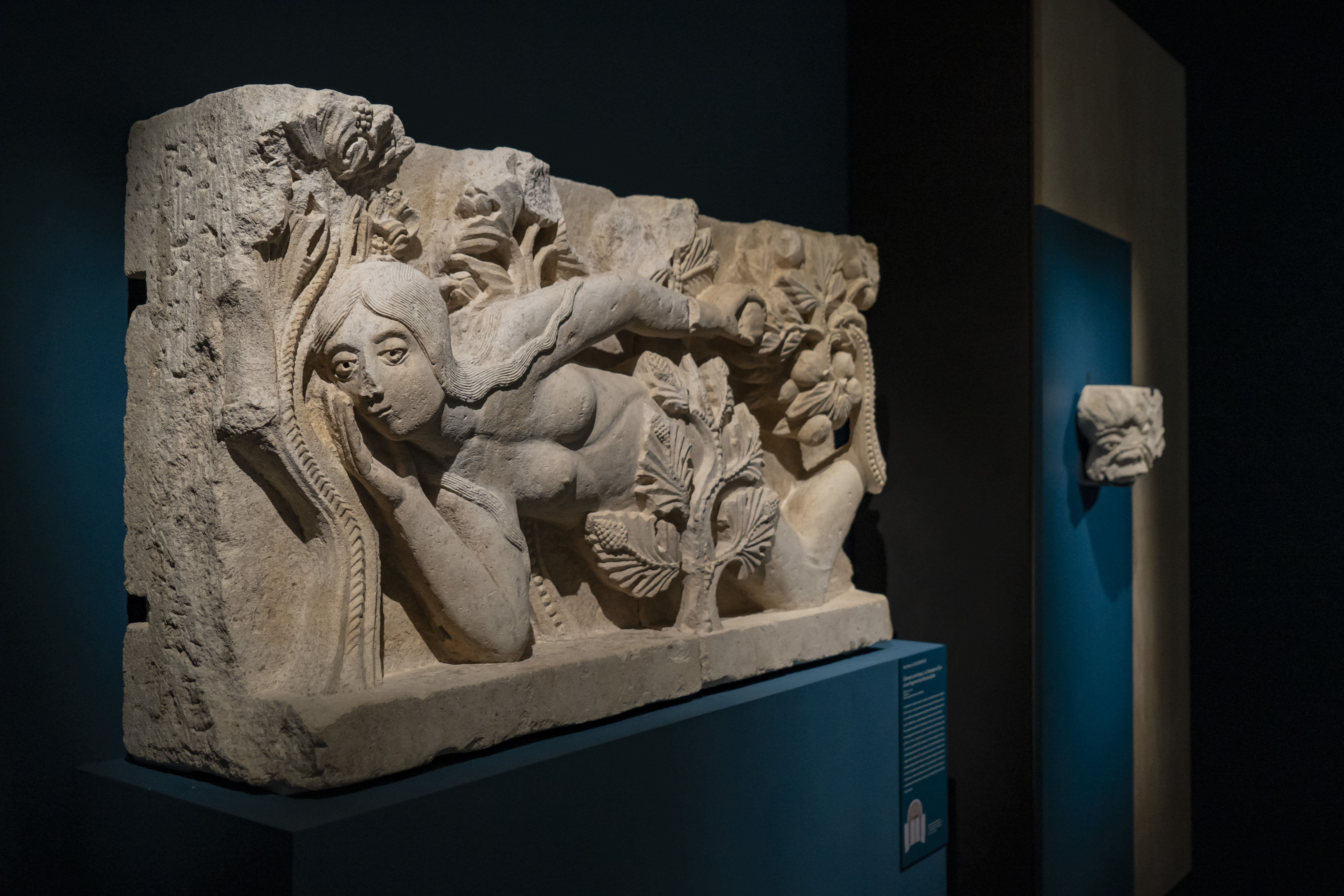 Visite guidée de l'exposition "Merveilles Choisies"