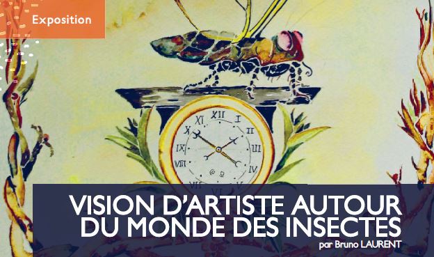 Expo vision d'artistes autour du monde des insectes