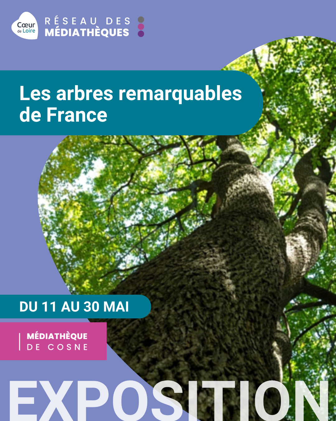 Exposition Les Arbres remarquables de France