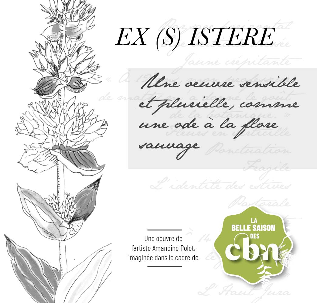 Exposition de l'oeuvre Ex(s)istere* : une ode au végétal sauvage