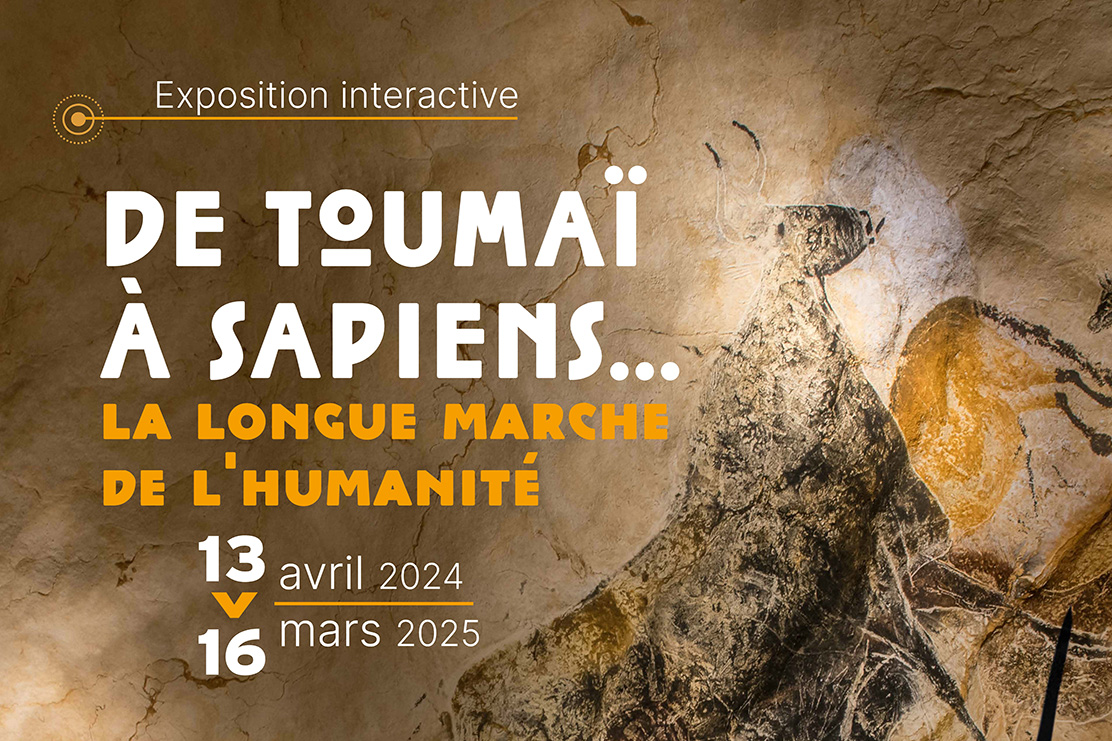 Exposition De Toumaï à Sapiens