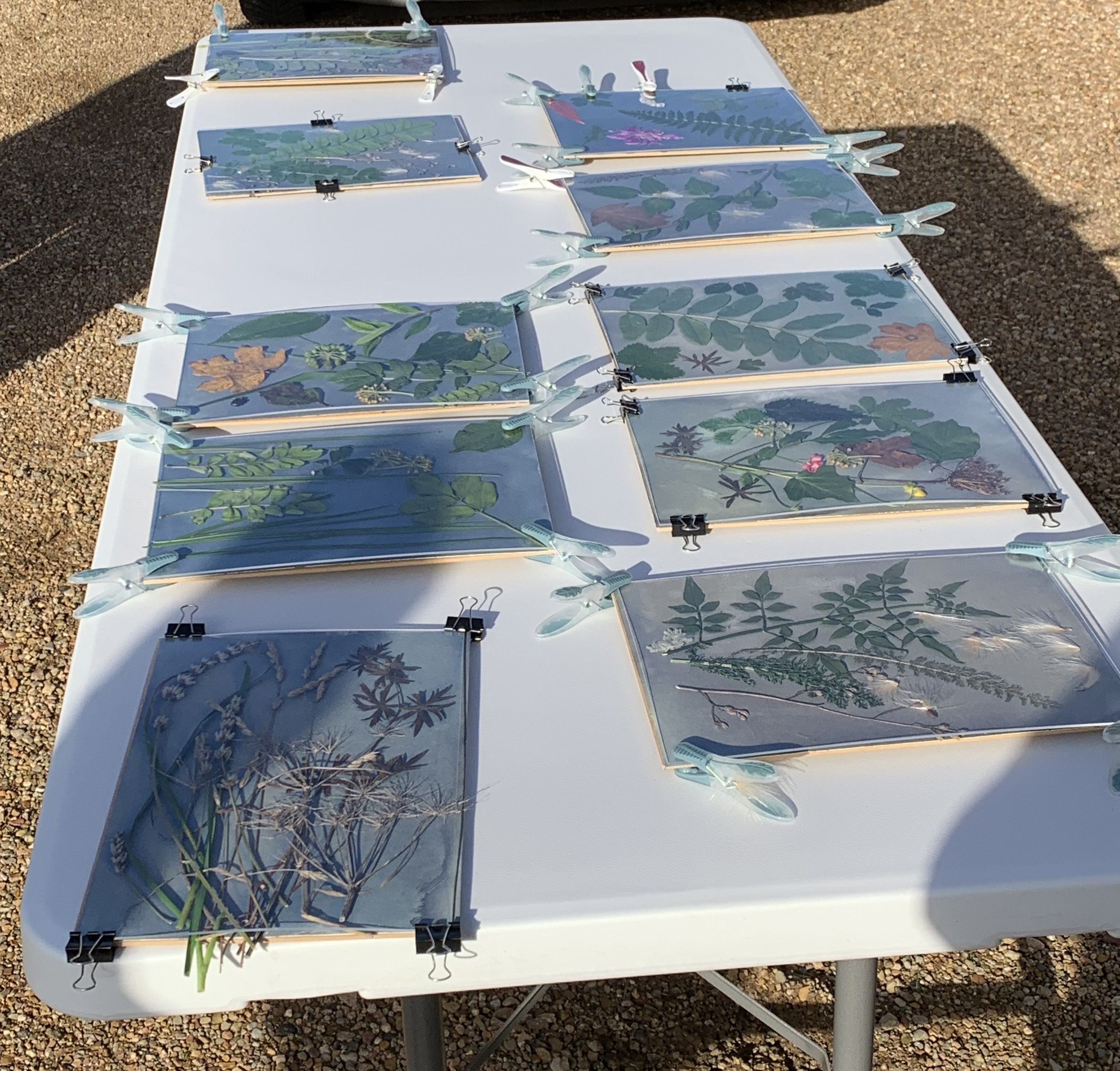 Exposition au soleil