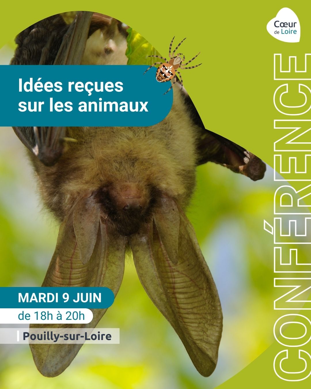 Club nature adulte "déconstruire nos idées reçues sur les animaux"