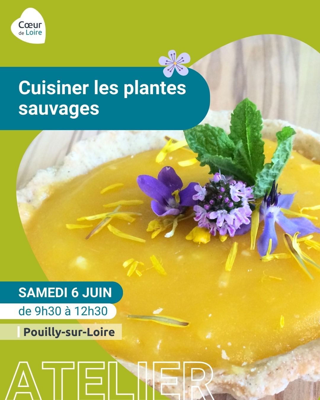 Sortie-atelier "Cuisiner les plantes sauvages"