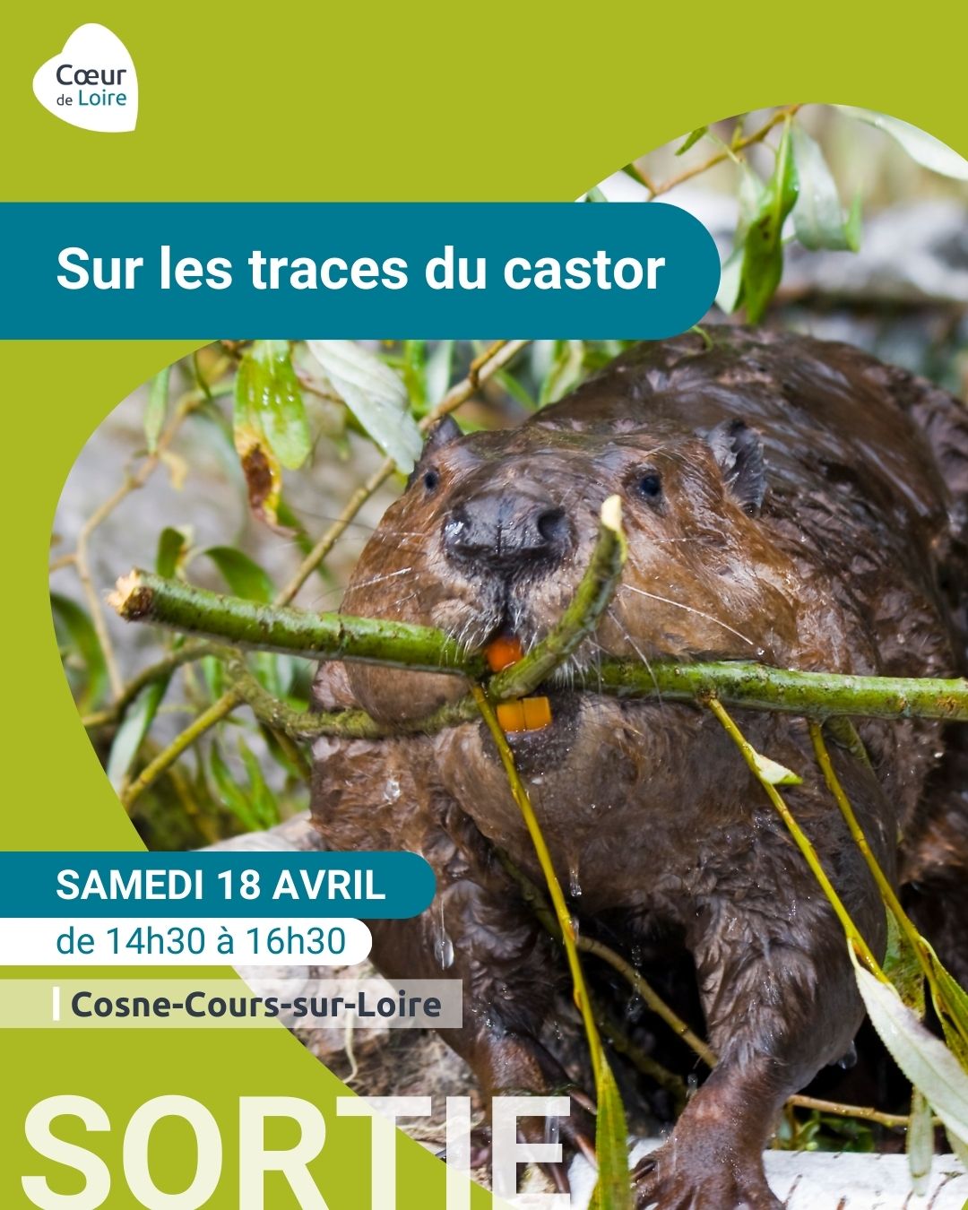 Sortie "sur les traces du castor"