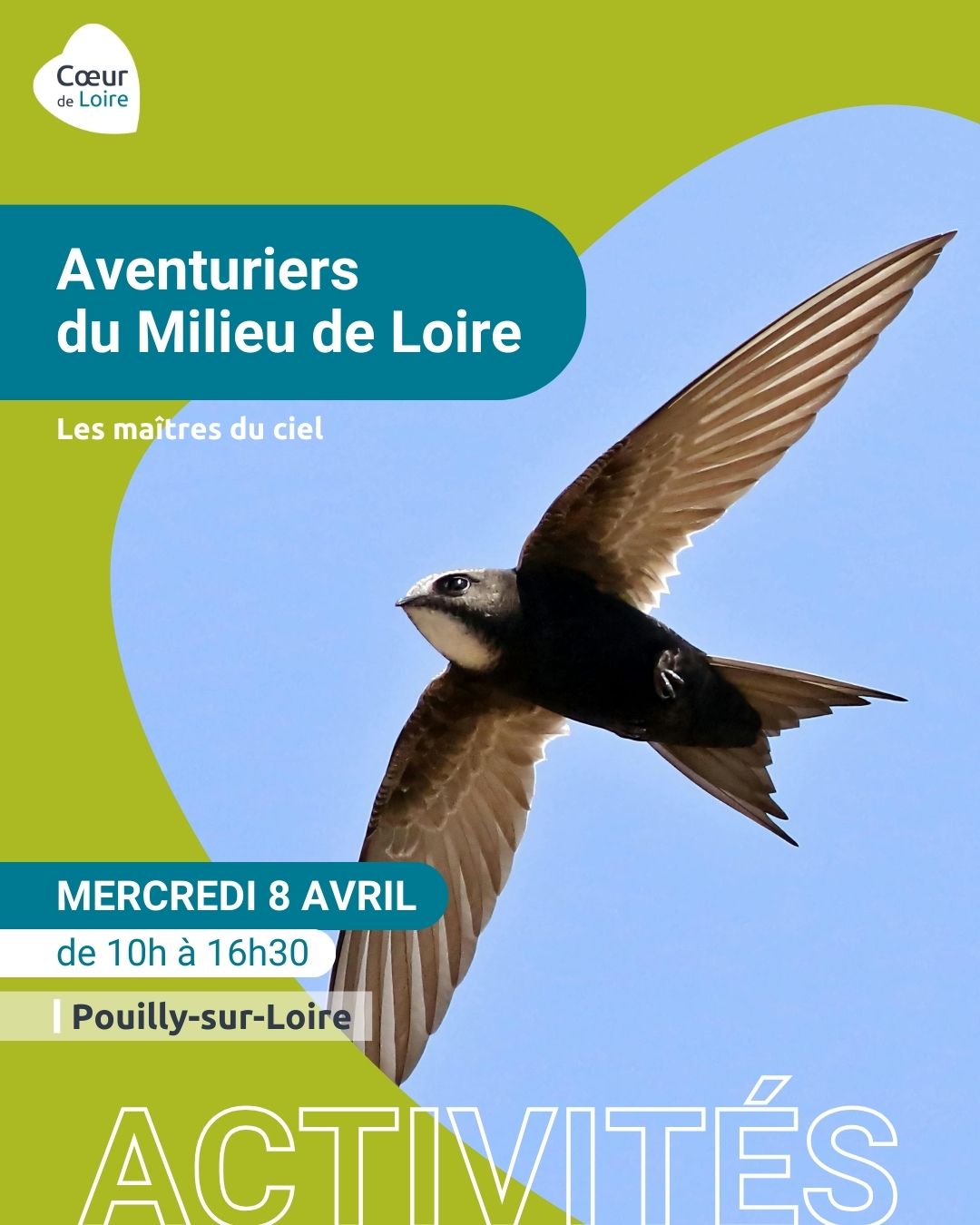 Les Aventuriers du Milieu de Loire : journée nature pour les 6-12 ans, spéciale "Les maîtres du ciel"