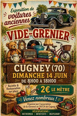 Vide Grenier 