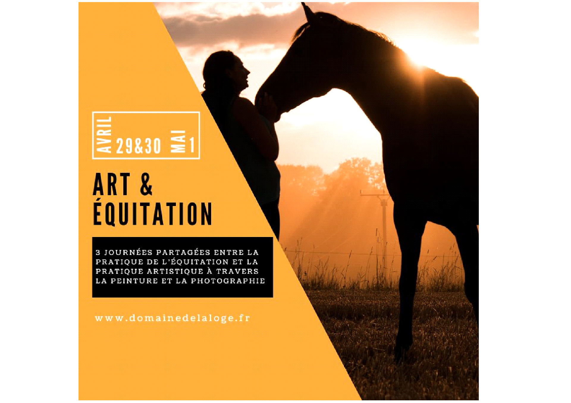 Séjour art et équitation